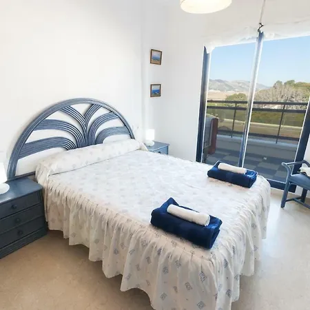 Alejandrita Playa de Gandía